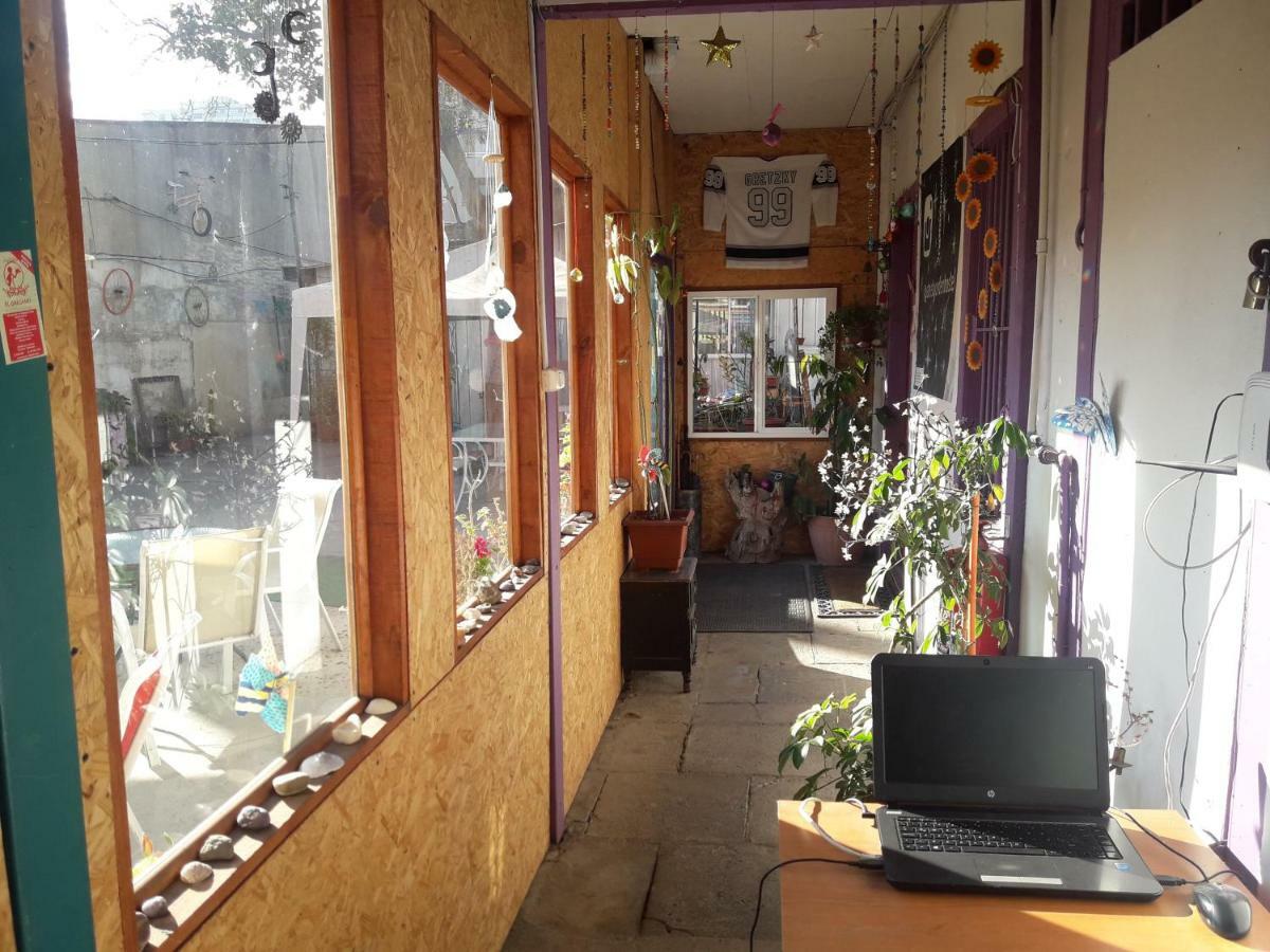 Street Garden Hostel Vina del Mar Luaran gambar